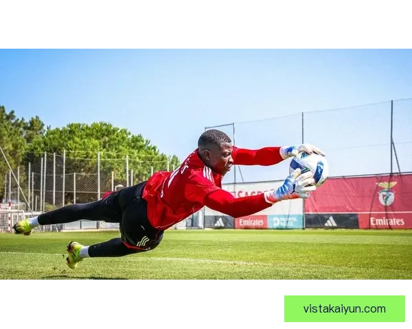 本菲卡战术执行稳健，近期表现值得关注，球队竞争力增强。