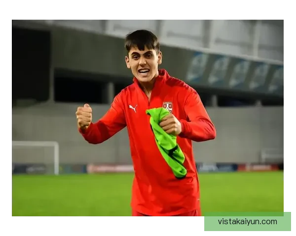 阿瑙托维奇前锋风格解析：支点作用突出，状态回暖表现稳健